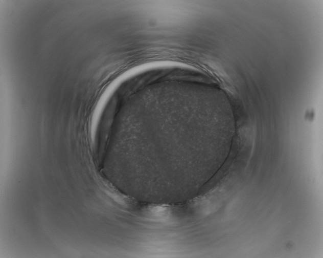 X0000090720325200708171931