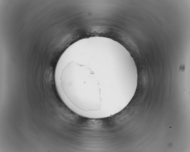 X0000090720328200708171931