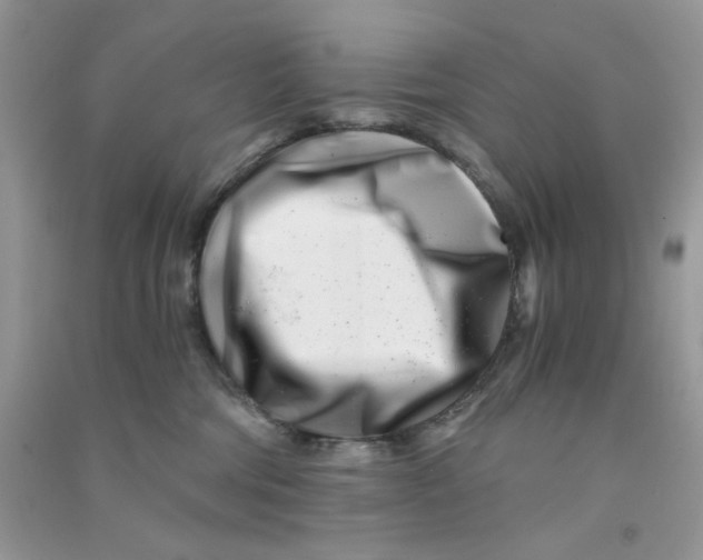 X0000090720330200708171931