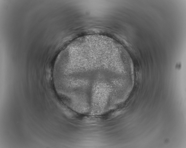 X0000090720331200708171931