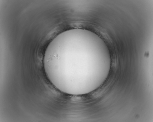 X0000090720332200708171931