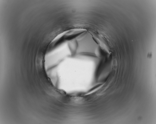 X0000090720334200708171931