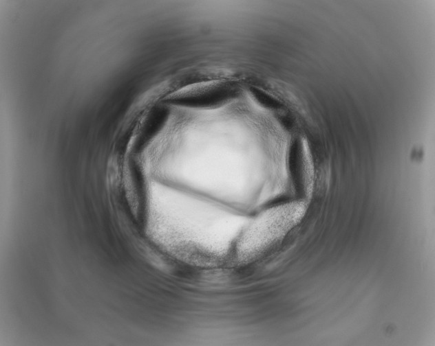 X0000090720335200708171931