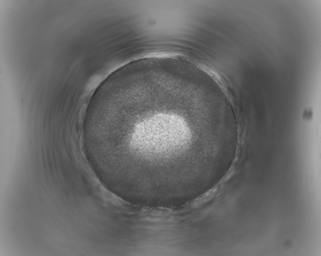 X0000090720337200708171931