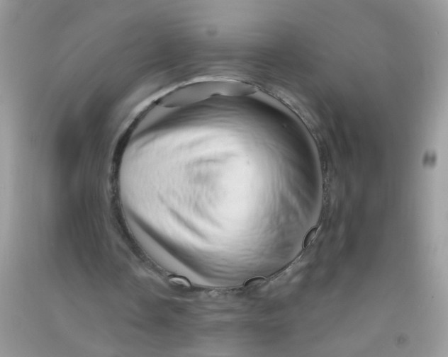 X0000090720338200708171931