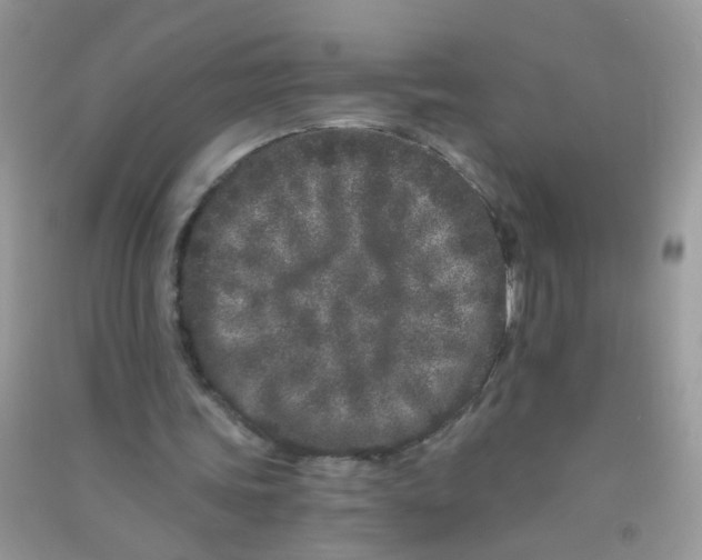 X0000090720339200708171931