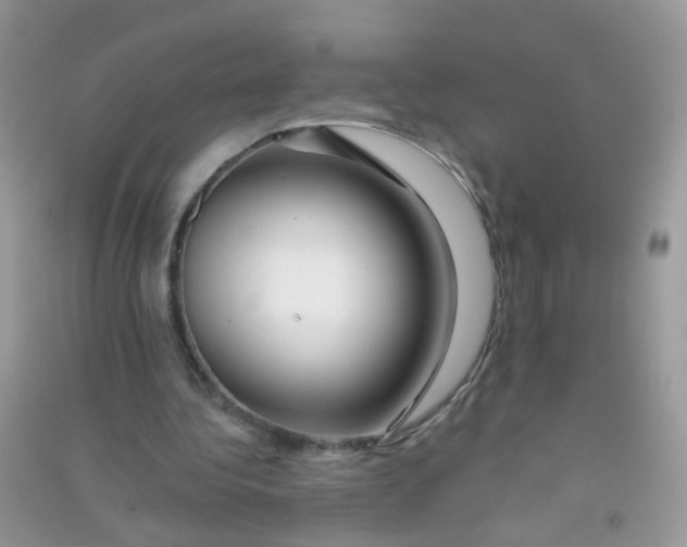 X0000090720340200708171931