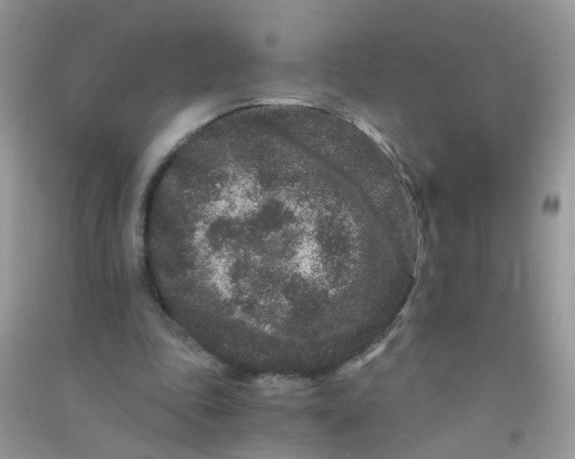 X0000090720343200708171931