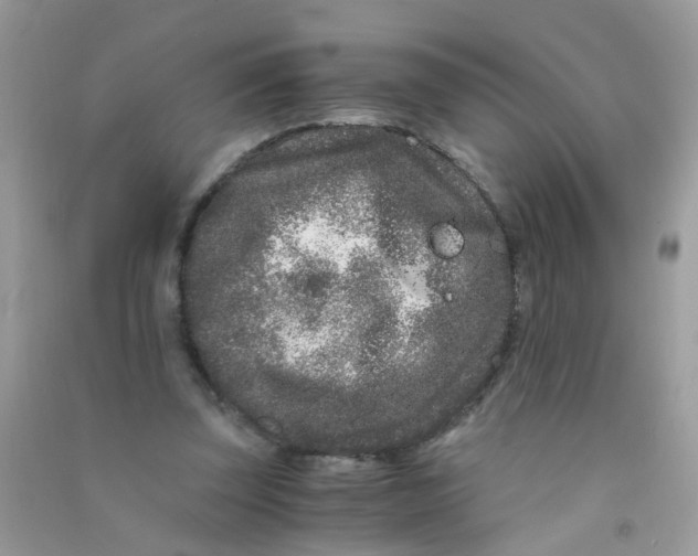 X0000090720347200708171931