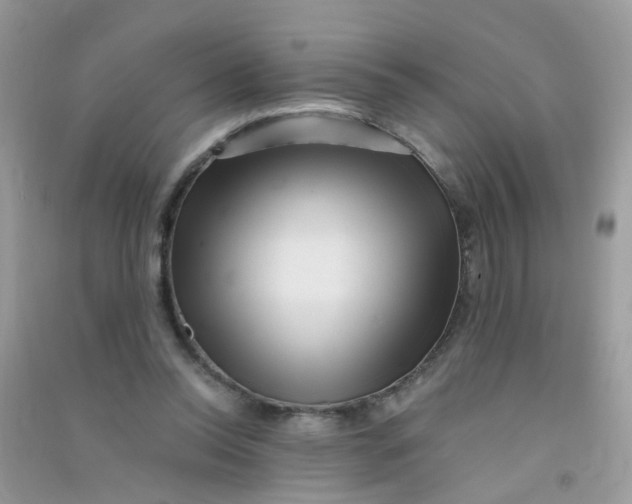 X0000090720350200708171931