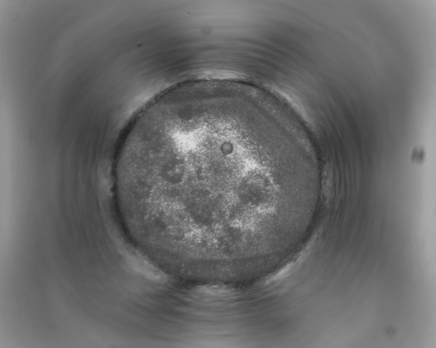 X0000090720351200708171931