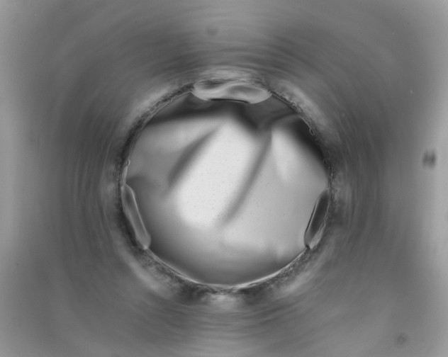 X0000090720352200708171931