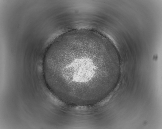 X0000090720353200708171931