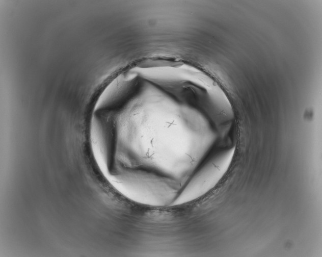 X0000090720354200708171931