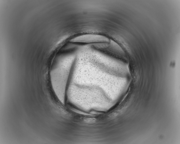 X0000090720355200708171931