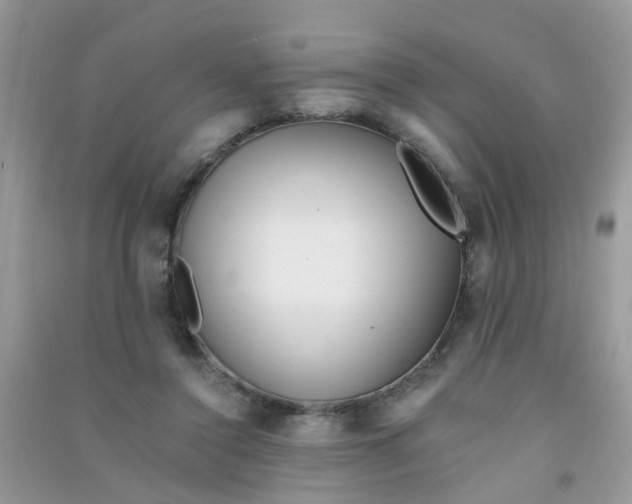 X0000090720356200708171931