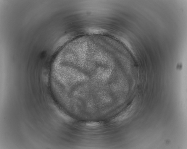 X0000090720357200708171931