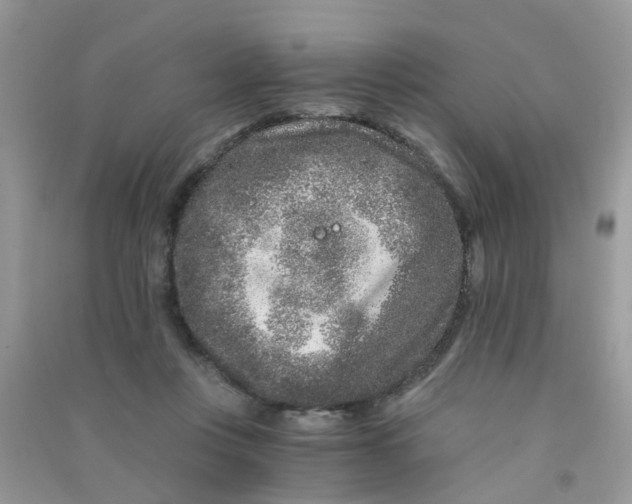 X0000090720359200708171931