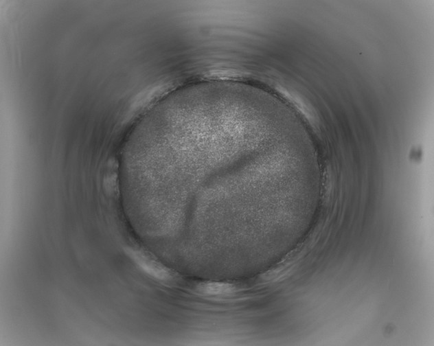 X0000090720361200708171931