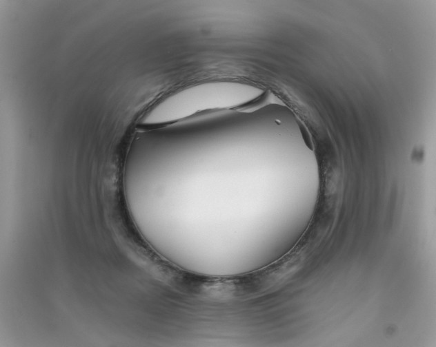 X0000090720362200708171931