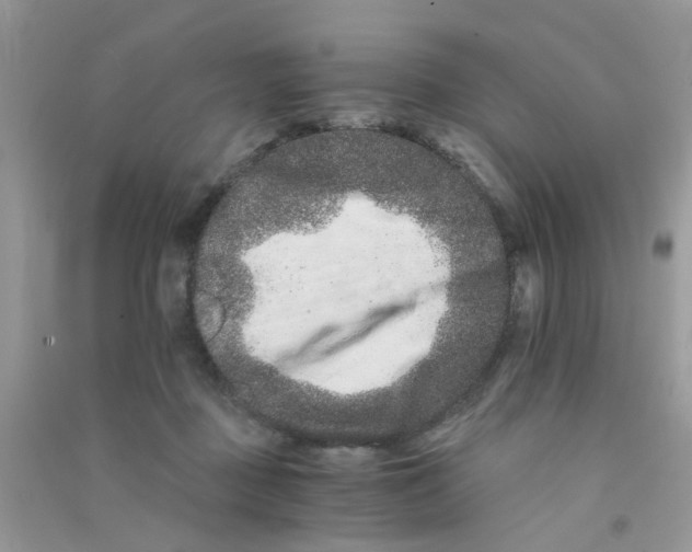 X0000090720363200708171931