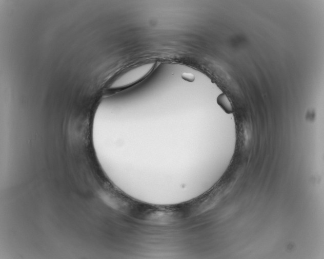 X0000090720364200708171931