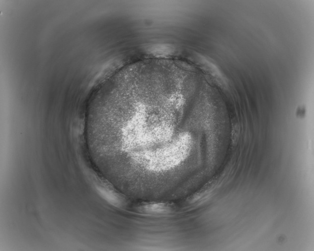 X0000090720365200708171931