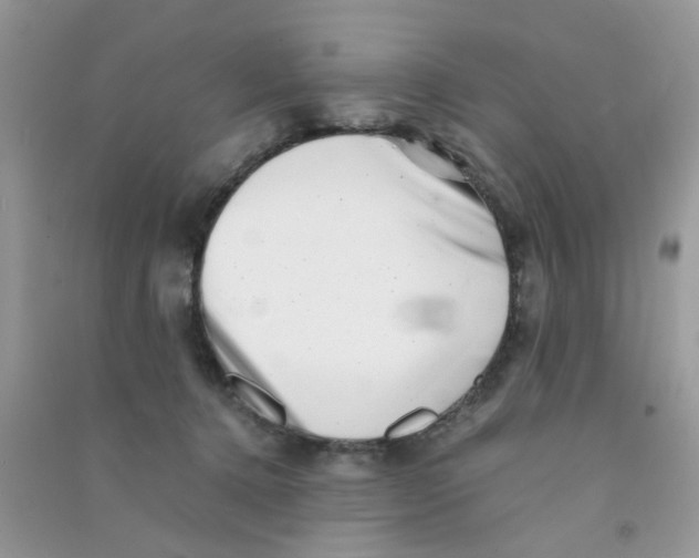 X0000090720368200708171931