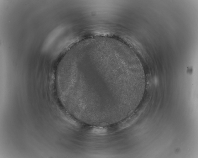 X0000090720369200708171931