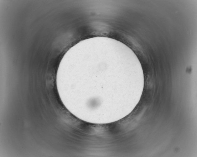 X0000090720370200708171931