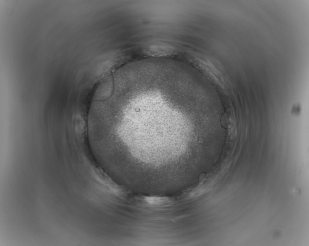 X0000090720371200708171931