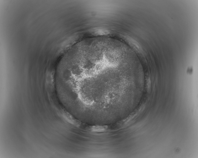 X0000090720373200708171931