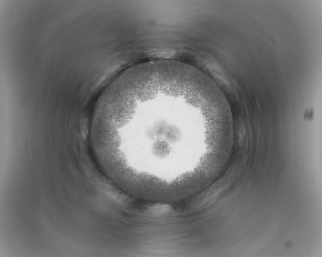 X0000090720374200708171931