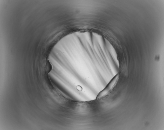 X0000090720376200708171931