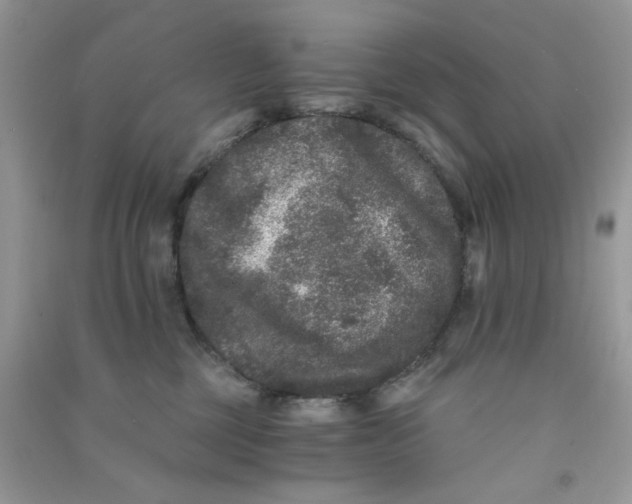 X0000090720377200708171931