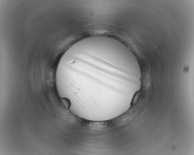 X0000090720378200708171931