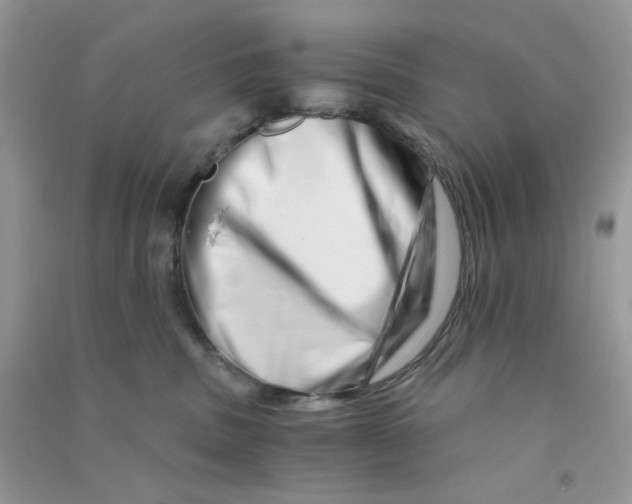 X0000090720379200708171931