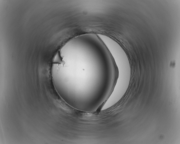 X0000090720380200708171931