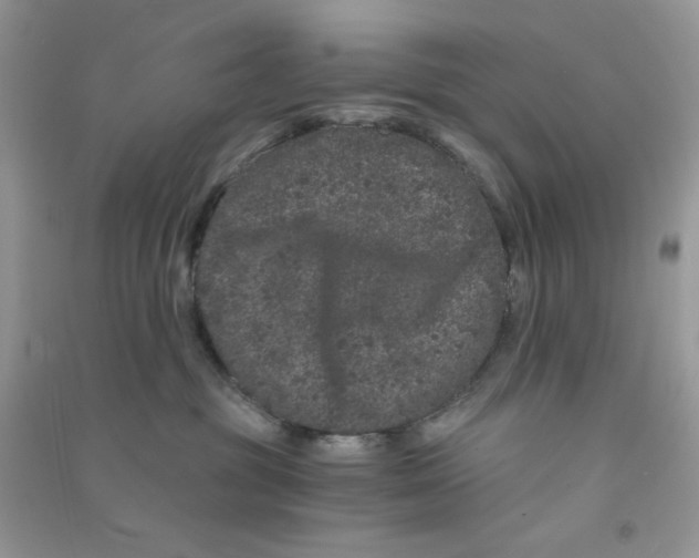 X0000090720381200708171931