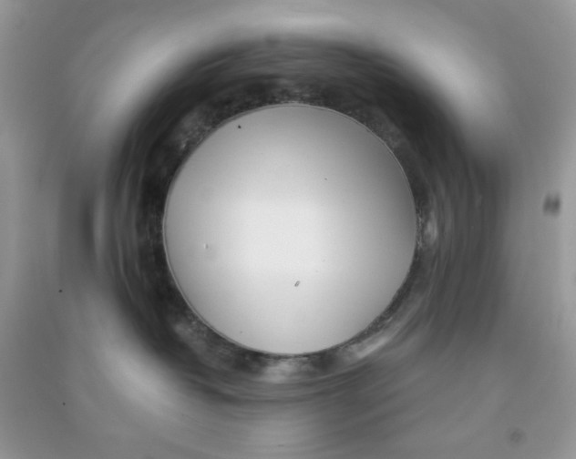 X0000090720382200708171931