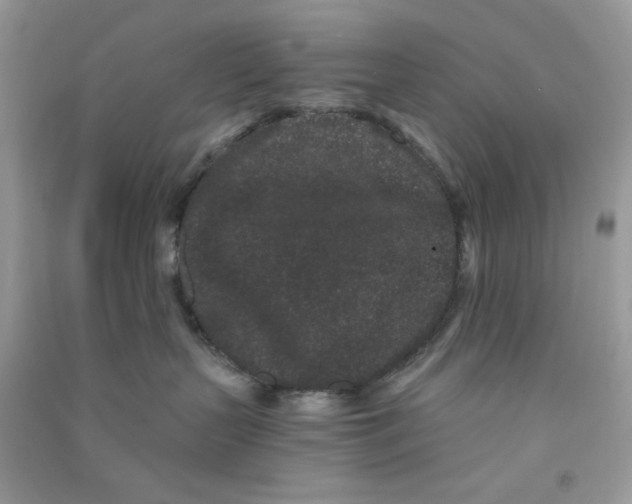 X0000090720383200708171931