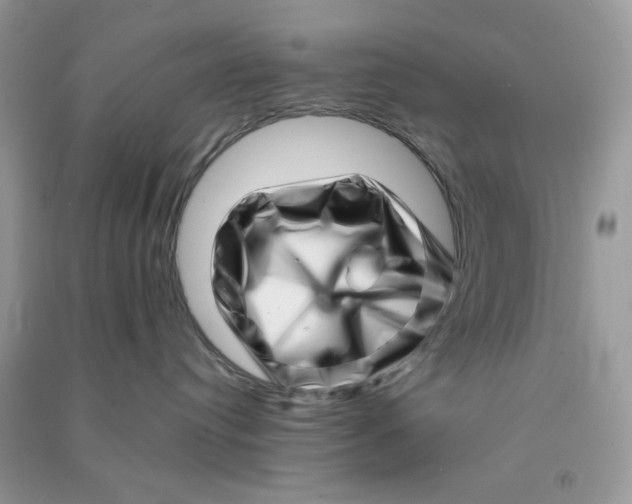 X0000090720384200708171931