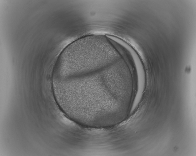 X0000090720385200708171931