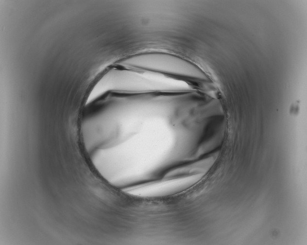 X0000090720386200708171931