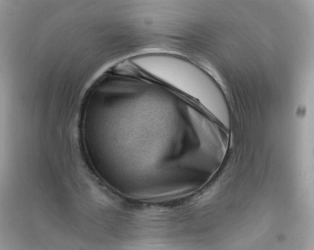 X0000090720387200708171931