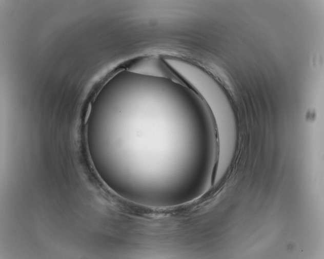 X0000090720388200708171931