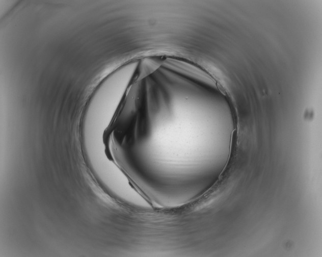 X0000090720389200708171931