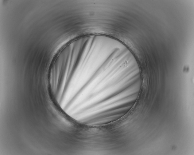 X0000090720390200708171931