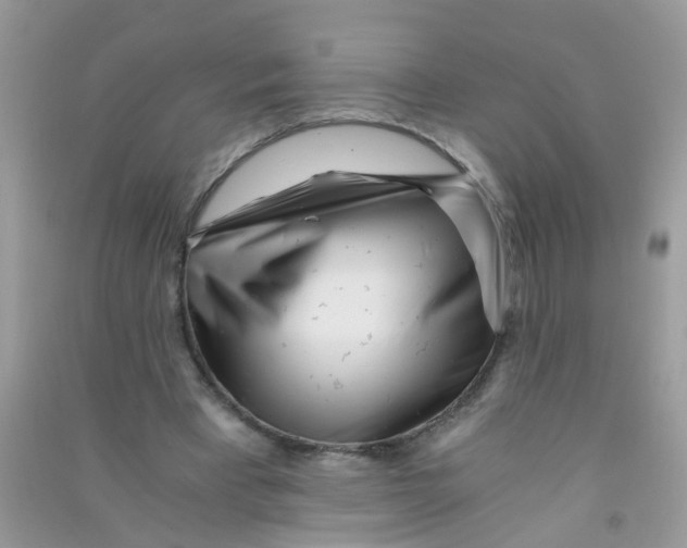 X0000090720393200708171931