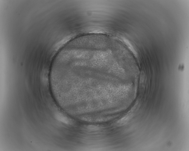 X0000090720394200708171931